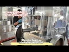 ZP17B chicken cube effervescent pill tablet press machine