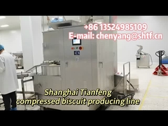 250 KN Pill Tablet Press Machine Compact Biscuits Food Making Machine ZPW-4-4