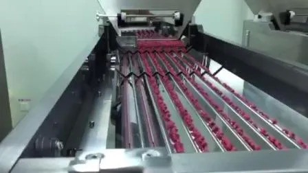 High-Speed 380V Pharmaceutical Bottle Filling Production Line with 1 Year Warranty for 60ml 80ml 100ml Bottles