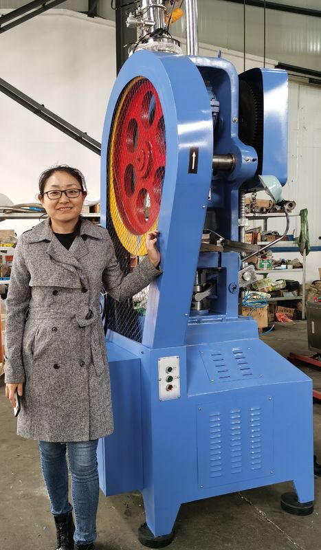 THP Series Flower Basket Tablet Press Machine Continuous Type