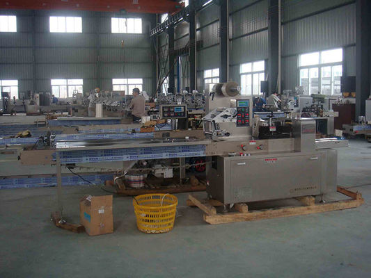 220V 2kw Laundry Detergent Tablet Packing Machine